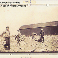 Vijf mannen aan het werk op het veld bij de tabaksoogst in Woodslee, Ontario (1932)